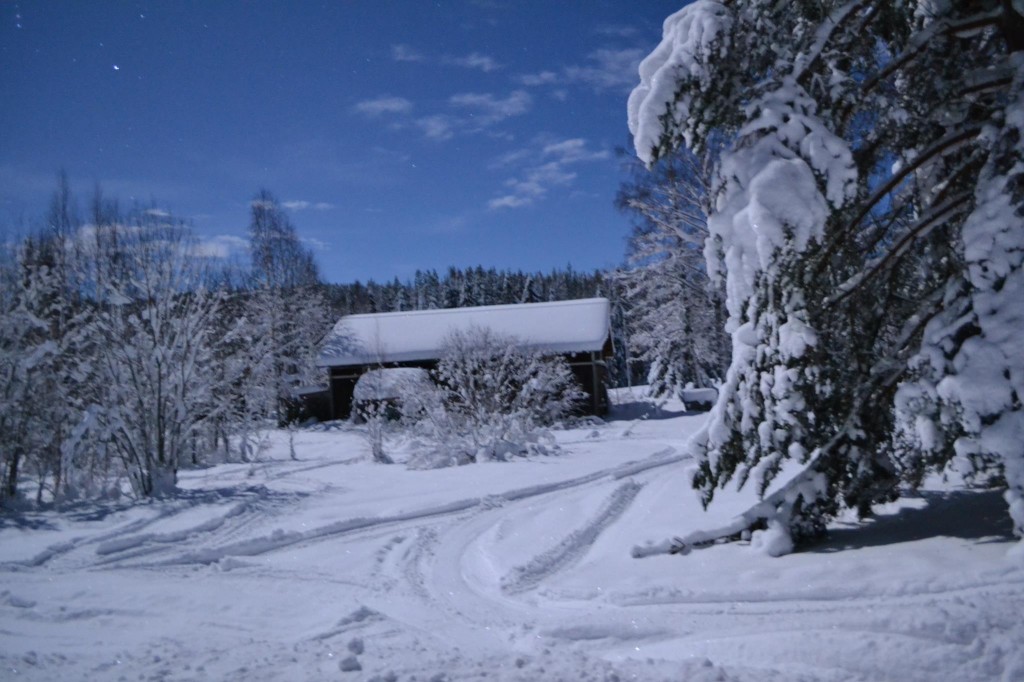 Månsken 2012 (stor)