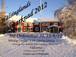 Julmarknad2012